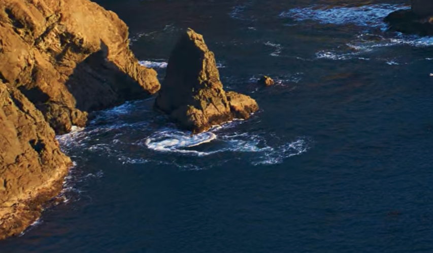 ACCESSO A PROPERTY DAYS